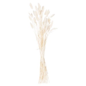 Dried White Bunny Tails (Bunch of 60)