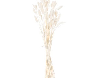 Dried White Bunny Tails (Bunch of 60)