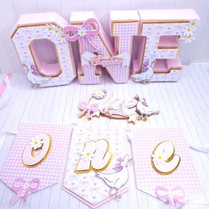 Silly Goose Party Box Package, Silly Goose Party Decorations, Silly Goose Birthday Party Box, Silly Goose Package Party Supplies