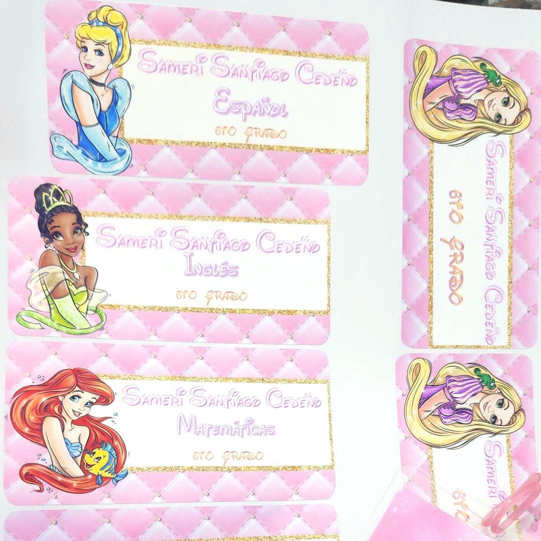 Assignment Label Princess Personalized Princess Name Sticker Labels: School Supply Stickers - Etsy