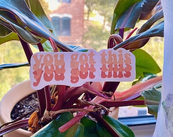 You Got This Sticker: Happy Motivational Decal