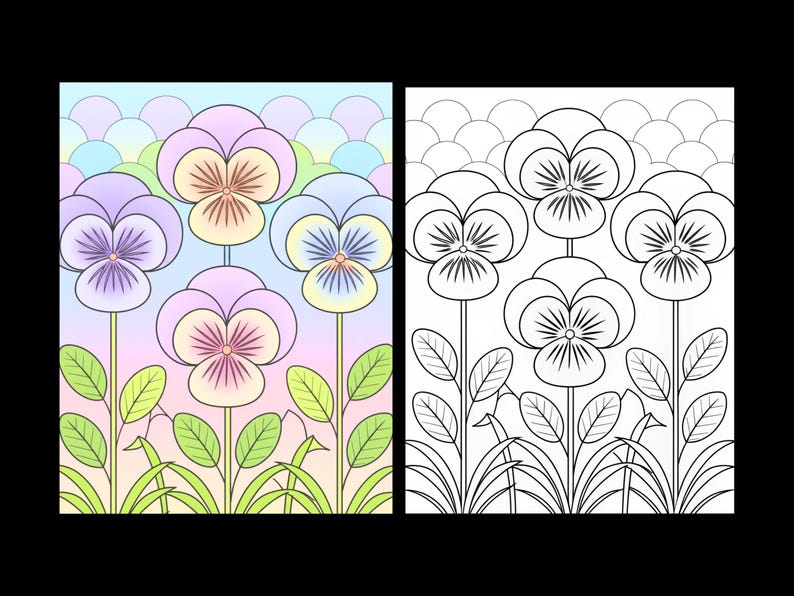 May include: A side-by-side illustration featuring a colored version and a black-and-white line art version of four pansy flowers. The colored side displays pastel purple, yellow, and blue petals with green leaves against a scalloped background.
