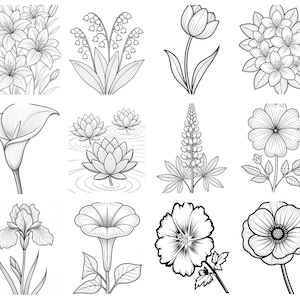 May include: A collection of twelve black and white line art illustrations featuring various botanical subjects. The grid displays lilies, lily of the valley, a tulip, a cluster of blossoms, a calla lily, water lilies, a lupine, a daisy, an iris, a morning glory, a hibiscus, and a poppy.