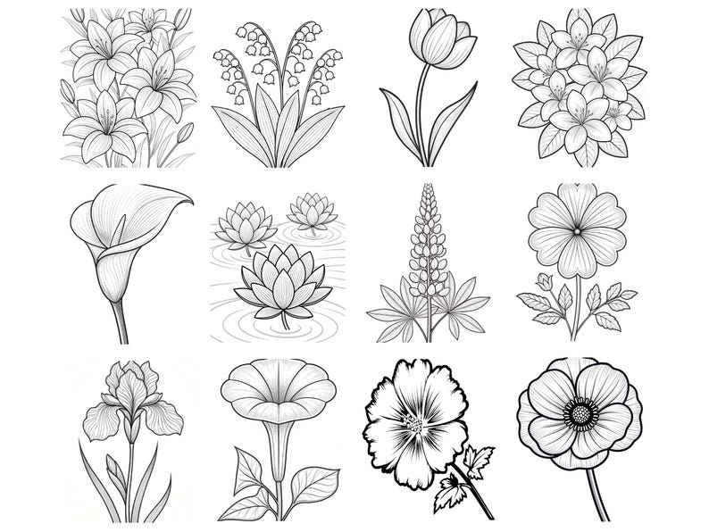May include: A collection of twelve black and white line art illustrations featuring various botanical subjects. The grid displays lilies, lily of the valley, a tulip, a cluster of blossoms, a calla lily, water lilies, a lupine, a daisy, an iris, a morning glory, a hibiscus, and a poppy.