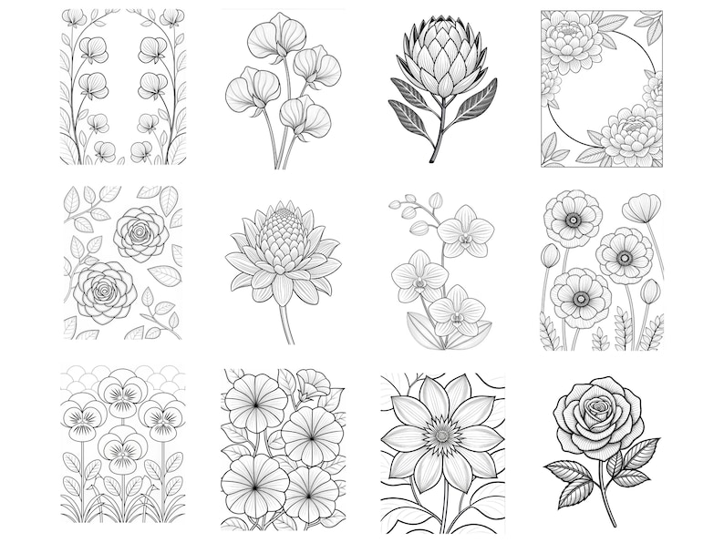 May include: A collection of twelve black and white line art illustrations featuring various botanical subjects including sweet peas, protea, peonies, roses, orchids, poppies, pansies, and morning glories arranged in a grid of individual panels.