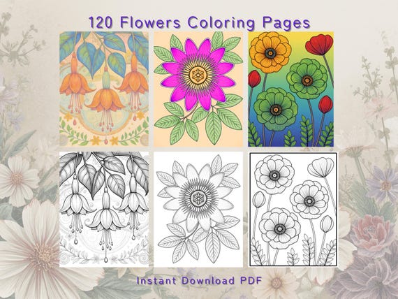 Floral Coloring Pages Bundle – 120 Unique Flower Designs (A4 PDF)