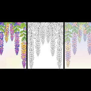May include: Three rectangular panels featuring hanging wisteria flowers. The left and right panels show colorful, shaded wisteria in shades of purple, pink, and yellow with green leaves. The center panel is a black and white line art version.