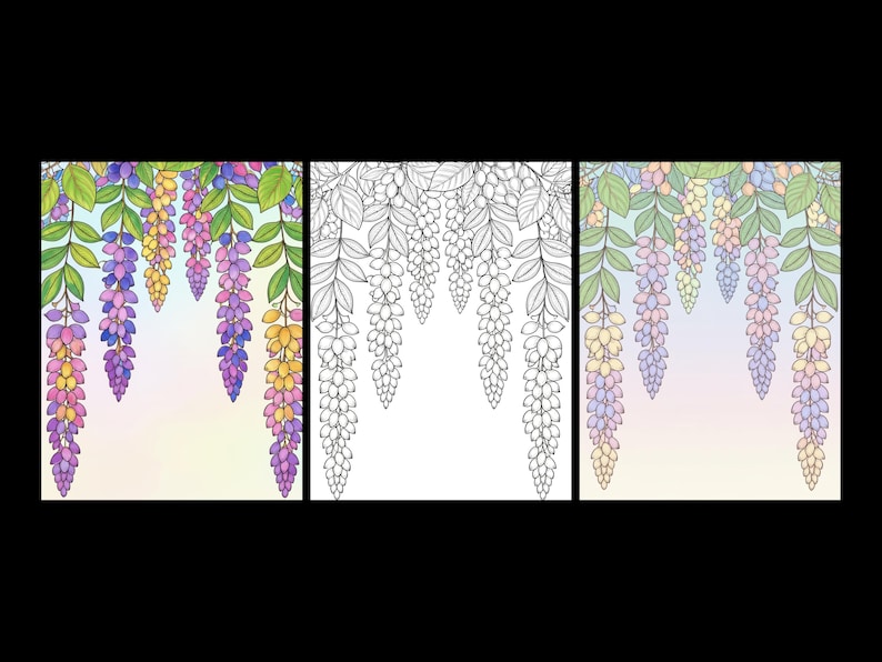 May include: Three rectangular panels featuring hanging wisteria flowers. The left and right panels show colorful, shaded wisteria in shades of purple, pink, and yellow with green leaves. The center panel is a black and white line art version.