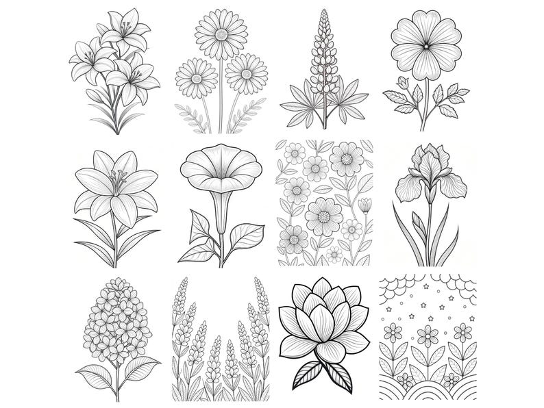 May include: A collection of twelve black and white line art illustrations featuring various botanical subjects including lilies, daisies, lupines, irises, and a lotus flower, arranged in a grid format suitable for coloring or decorative design projects.