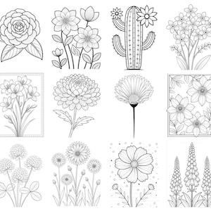 May include: A collection of twelve black and white line art illustrations featuring various botanical subjects including a rose, dahlias, a cactus with flowers, small clusters of blossoms, a chrysanthemum, a daisy, and tall floral stalks.