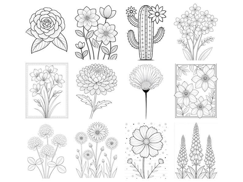 May include: A collection of twelve black and white line art illustrations featuring various botanical subjects including a rose, dahlias, a cactus with flowers, small clusters of blossoms, a chrysanthemum, a daisy, and tall floral stalks.