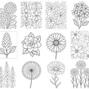 May include: A collection of twelve black and white line art illustrations featuring various botanical subjects including hydrangeas, fuchsias, daisies, marigolds, and dandelions. Each square panel displays a distinct floral arrangement with detailed petals and leaves, designed for coloring activities.