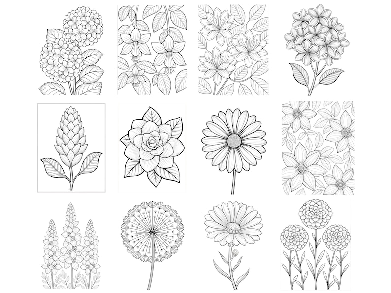 May include: A collection of twelve black and white line art illustrations featuring various botanical subjects including hydrangeas, fuchsias, daisies, marigolds, and dandelions. Each square panel displays a distinct floral arrangement with detailed petals and leaves, designed for coloring activities.