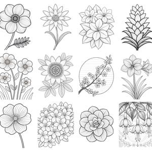 May include: A collection of twelve black and white line art illustrations featuring various botanical subjects including single flowers, clusters of blossoms, a pinecone-like structure, a flowering branch within a circle, and hanging fuchsia blooms.