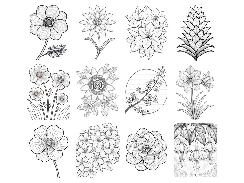May include: A collection of twelve black and white line art illustrations featuring various botanical subjects including single flowers, clusters of blossoms, a pinecone-like structure, a flowering branch within a circle, and hanging fuchsia blooms.