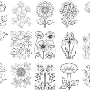 May include: A collection of fifteen black and white line art illustrations featuring various botanical subjects including a sunflower, calla lily, iris, morning glory, lily of the valley, and other assorted flowers with detailed petals and leaves.