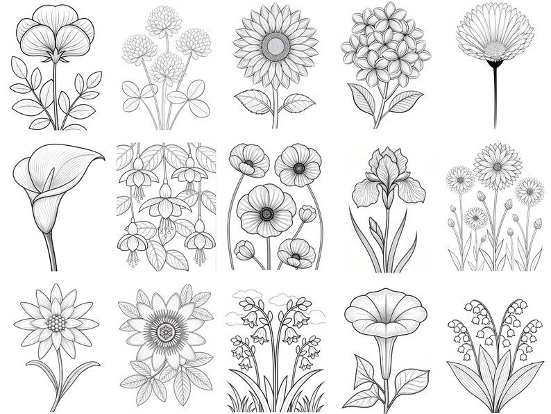 May include: A collection of fifteen black and white line art illustrations featuring various botanical subjects including a sunflower, calla lily, iris, morning glory, lily of the valley, and other assorted flowers with detailed petals and leaves.