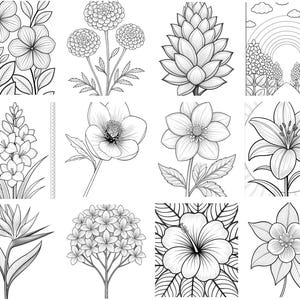 May include: A collection of twelve black and white line art illustrations featuring various botanical subjects including flowers, a pinecone, and a landscape scene with a rainbow. Each square panel displays detailed floral patterns and foliage.
