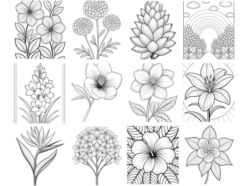 May include: A collection of twelve black and white line art illustrations featuring various botanical subjects including flowers, a pinecone, and a landscape scene with a rainbow. Each square panel displays detailed floral patterns and foliage.