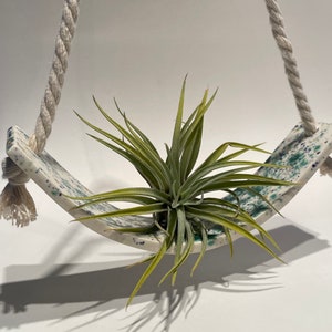 May include: A white ceramic hanging planter with green and blue speckles. The planter is shaped like a swing and is suspended by a white rope. A green air plant is sitting in the planter.