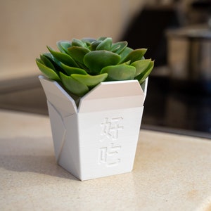 Chinese Takout Box Style Planter | Takeout Succulent Planter | Decorative Planter