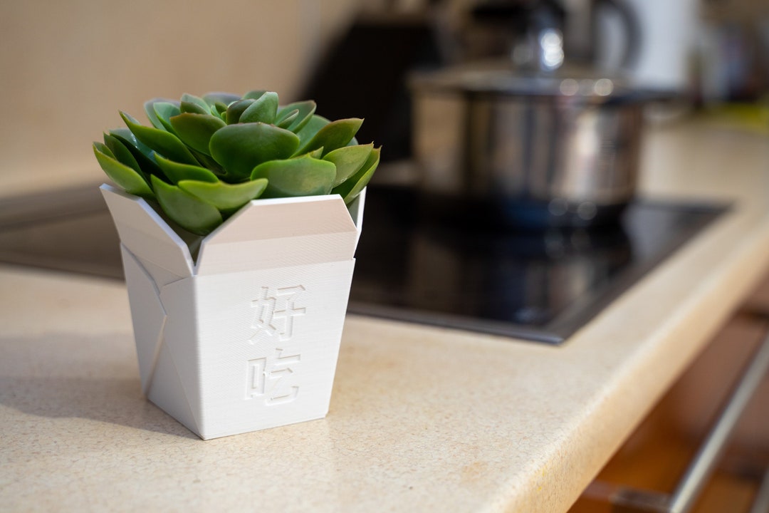 Chinese Takout Box Style Planter Takeout Succulent Planter Decorative Planter Etsy