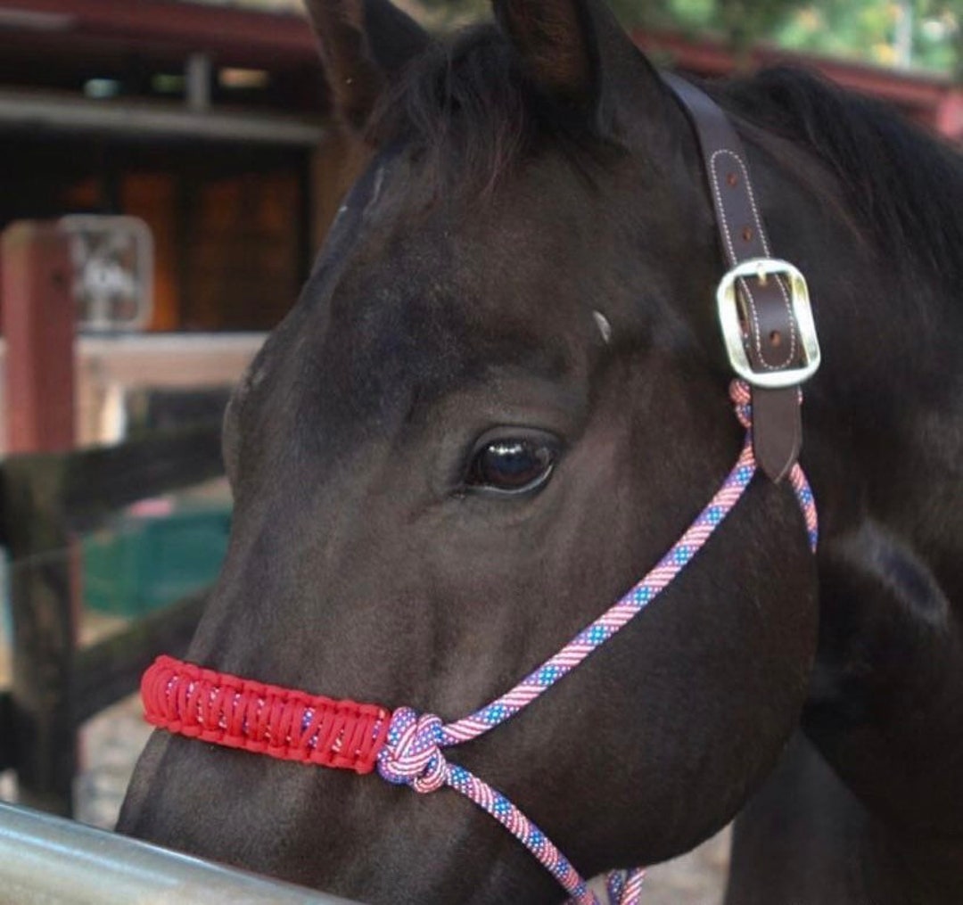Custom Breakaway Rope Halter Etsy