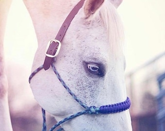 Custom Breakaway Rope Halter