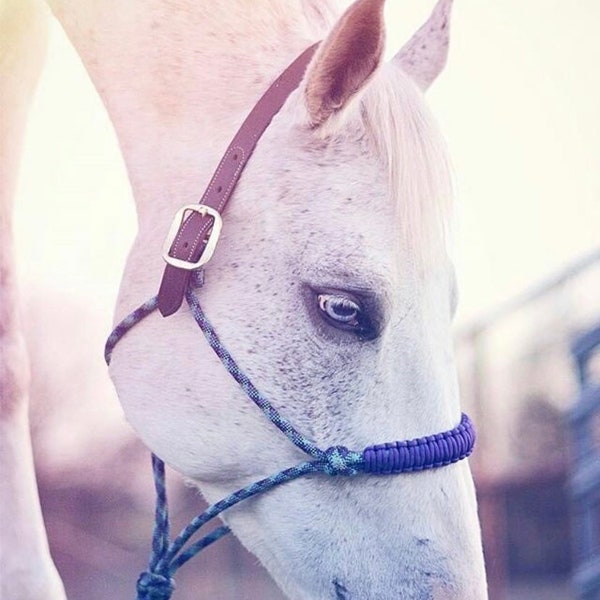 Rope Halter - Etsy