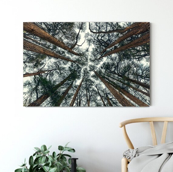 Tree Branch Print,Nature Wall Art,Large Wall Art,Nature Wall Decor,Tree Wall Art Forest Wall Art Trees Canvas Print