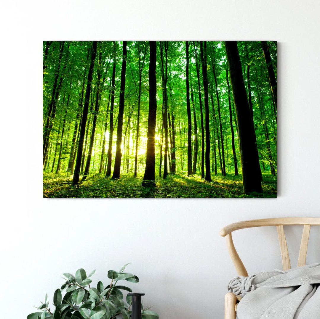 Forest Wall Art Canvas Beautiful Green Forest Canvas Print Multiple ...