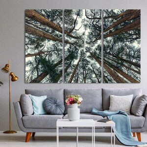 May include: A three-panel canvas print featuring a view of tall trees from below, with the branches and trunks reaching up towards a cloudy sky. The trees are a dark green color, and the sky is a light blue.