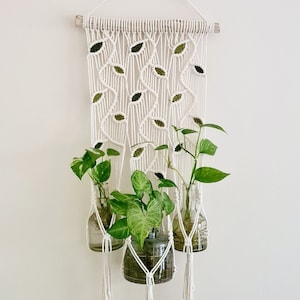 May include: A white macrame wall hanging with green leaves woven into the design. Three glass vases are suspended from the macrame, each containing a potted plant.