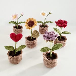 Crochet Flowers,Crochet Plant Pot,Mother's Day Gift,Gift for Mum,Gift For Her,Teachers Gift,Office Decor,Home Decor,Handmade.Crochet Rose