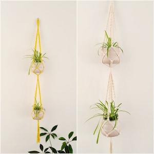 May include: Two macrame plant hangers with white pots and green plants. The top hanger is white and the bottom hanger is yellow.