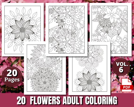 Adult Coloring Book – Me To You Box