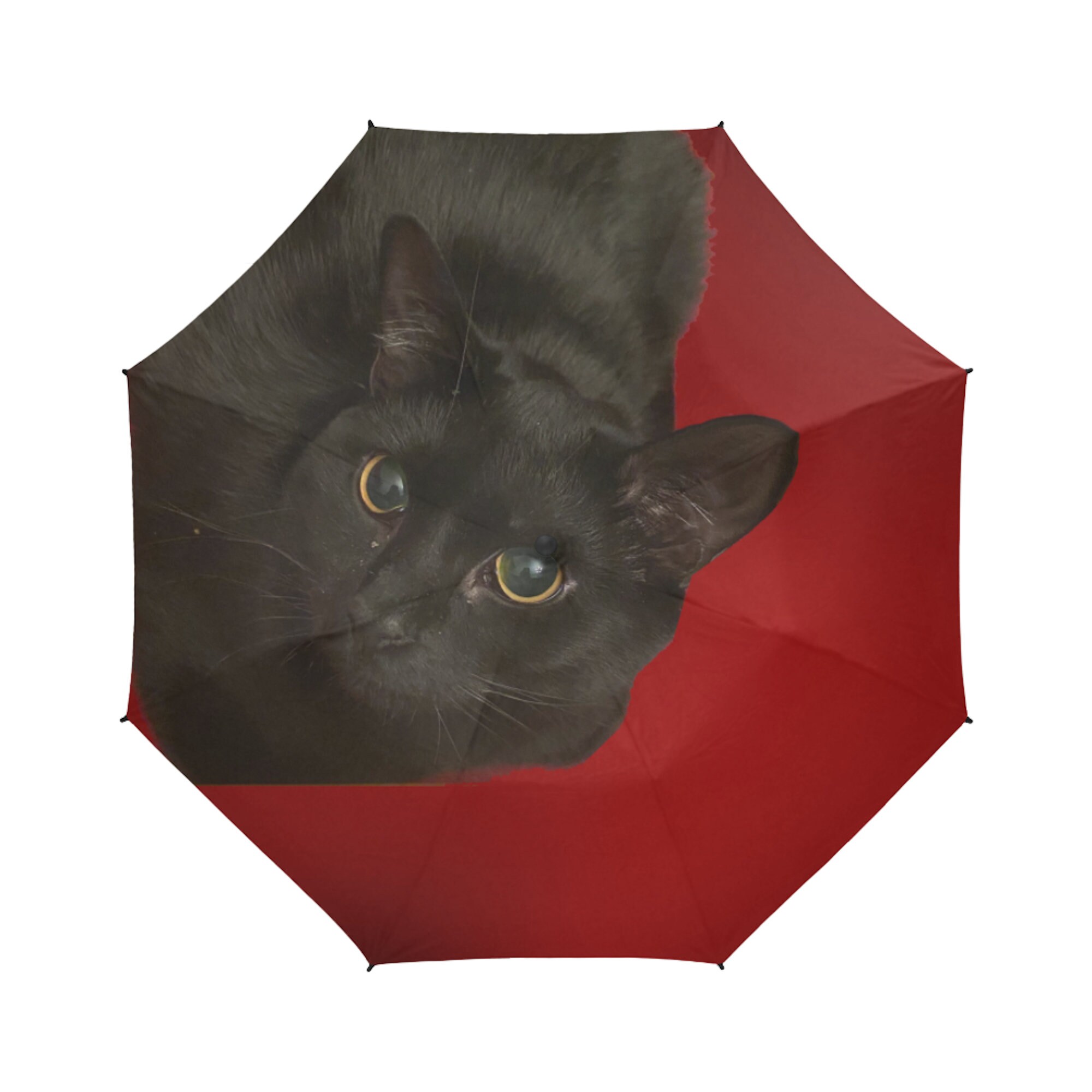 Korat Cat Umbrella Korat Cat Umbrella