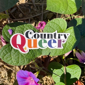 Country Queer Pride Magnet