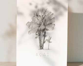 Açaï | Dessin d'arbre | illustration botanique | impression encre noire | Art minimaliste et figuratif