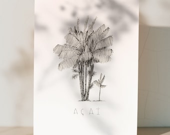 Açai | Dessin d&#39;arbre | illustration botanique  | print encre noire | Art minimaliste et figuratif