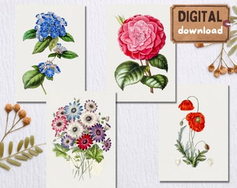 Unique Vintage Greeting Cards. Instant Download. 7x5 inch | 725