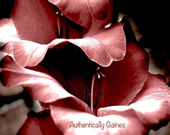 Storied Blossoms