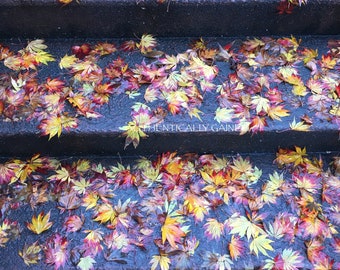 Fall Leaves on Steps