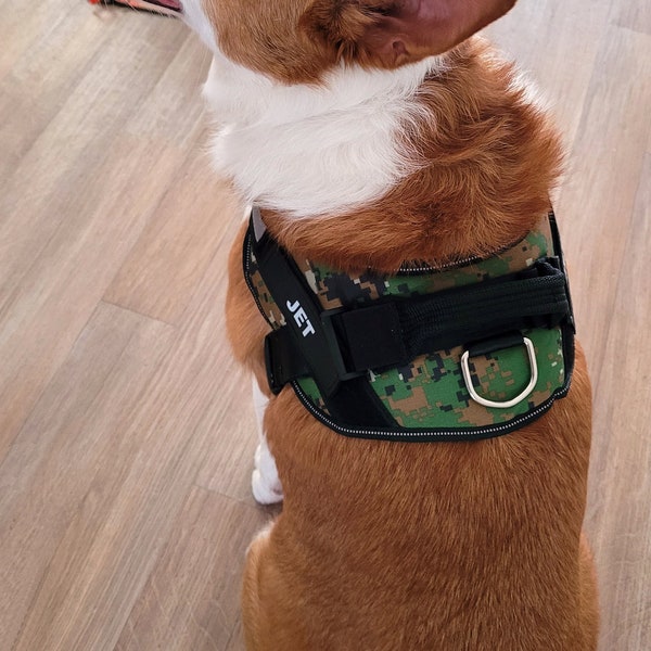 Military Dog Harness Etsy