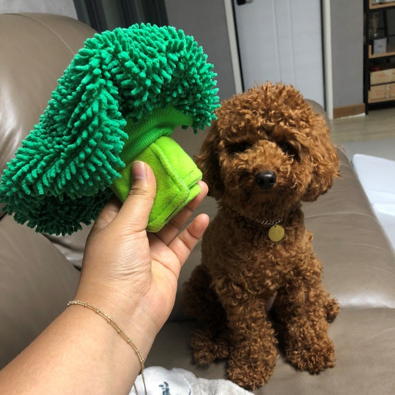 Broccoli Pet Sniffing Pad Dog Snuffle Mat Fetch Toy Interactive