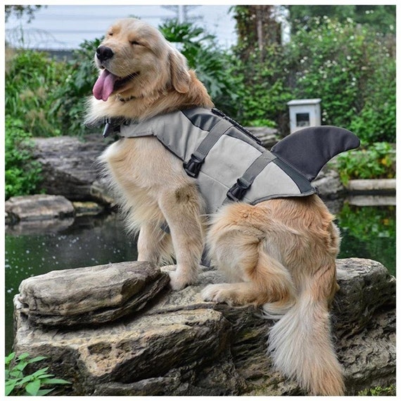 gilet sauvetage requin chien