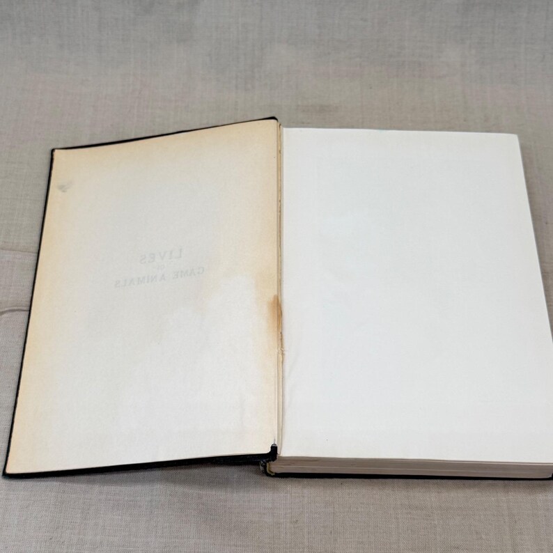 Vintage Black Leather Decorative Book Neutral Shelf Decor Moody Library Styling image 10
