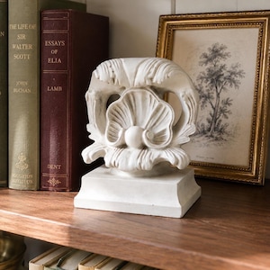 Vintage Shell Bookend White Architectural Shelf Decor Coastal Grandmillennial