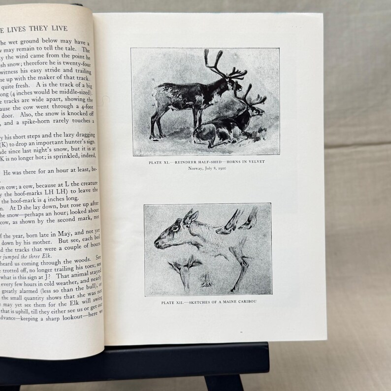 Vintage Black Leather Decorative Book Neutral Shelf Decor Moody Library Styling image 8