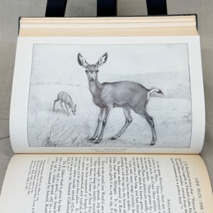 Vintage Black Leather Decorative Book Neutral Shelf Decor Moody Library Styling image 11